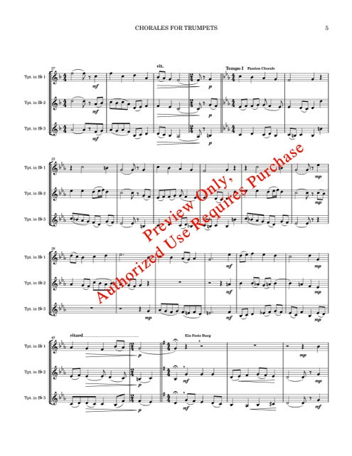 The Sound of Trumpets - Trumpet Trio